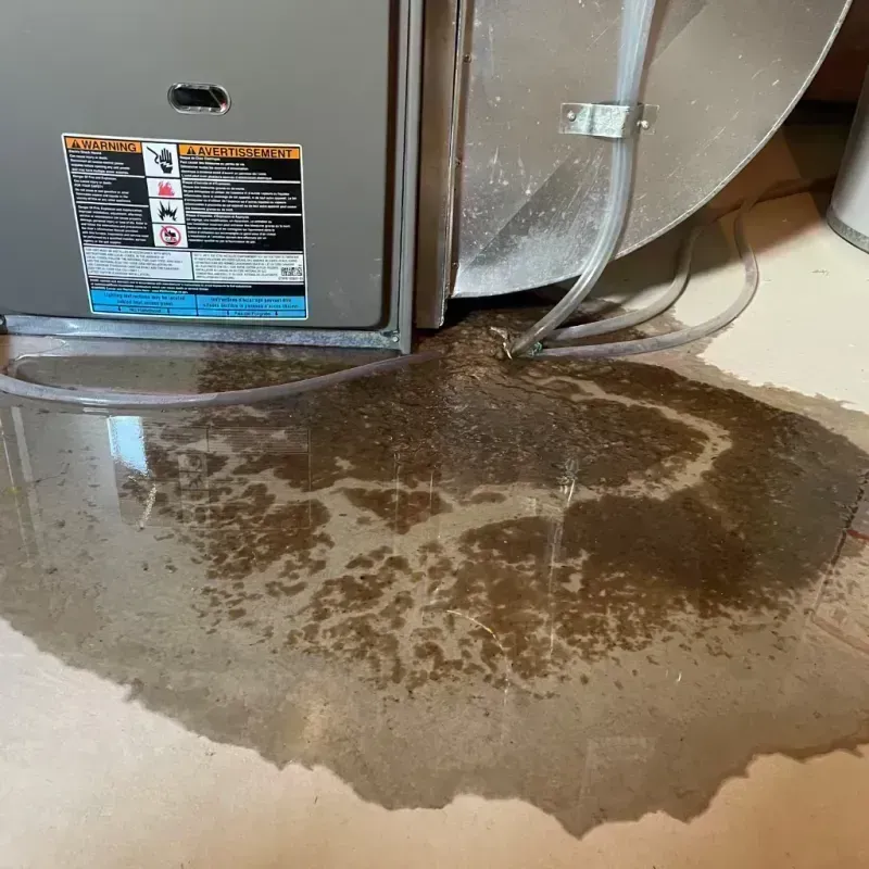 Appliance Leak Cleanup in Lake County, IL